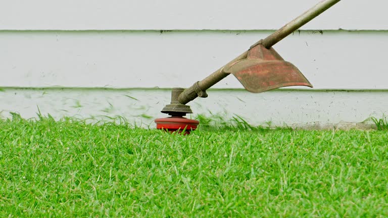 Grass Overseeding in Pontoon Beach, IL